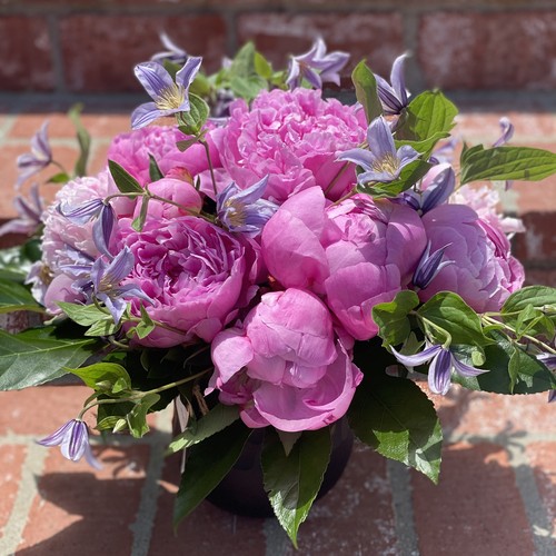 Pink peonies and lavender clematis with green leaves in a dark vessel by Raleigh floral studio